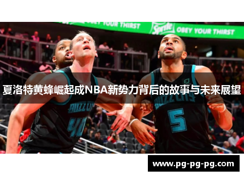 夏洛特黄蜂崛起成NBA新势力背后的故事与未来展望